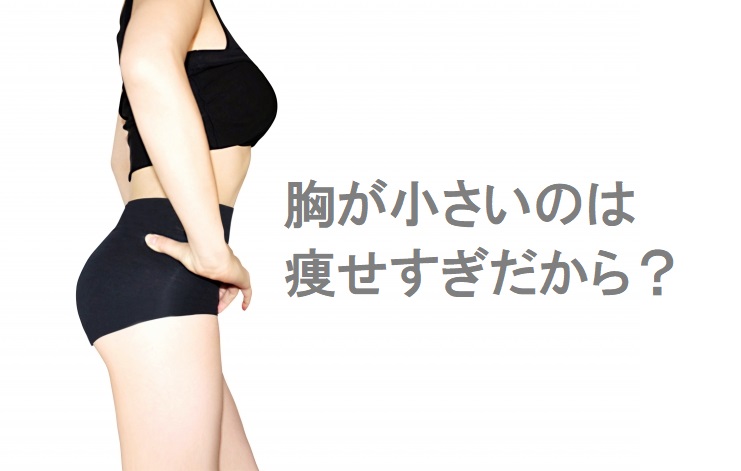 胸が小さいのは痩せすぎだから 健康的に太りたい方へ