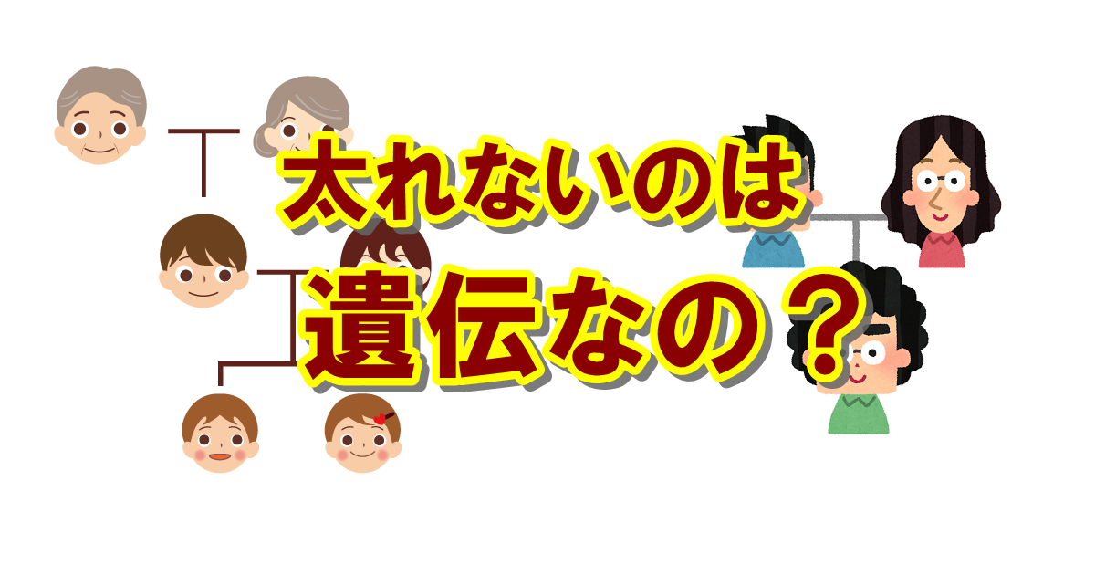 痩せすぎで太れないのは遺伝なのか？