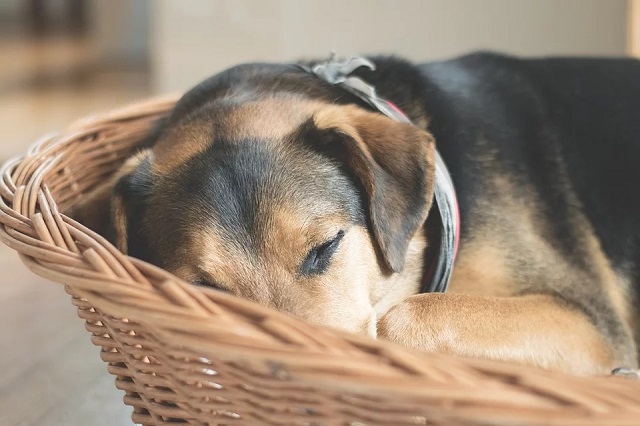 太りたい少食の人は睡眠が上手でない人も多くいます。